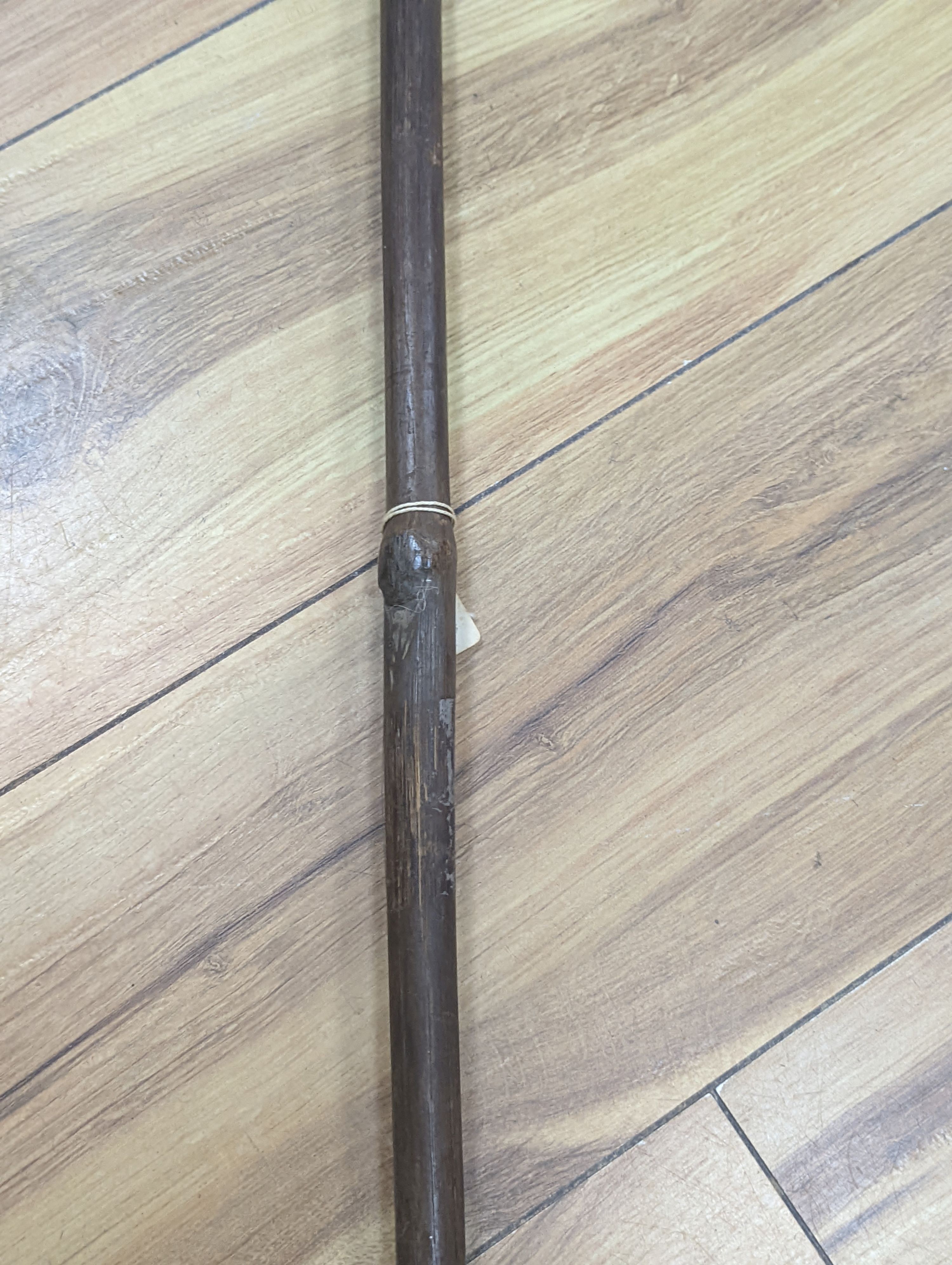 Two East Africa, Transvaal (Zululand) spears, 236cm
